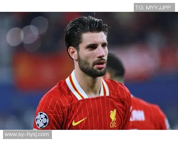 索博斯洛伊的魅力探秘与历史文化深度解析之旅 索博斯洛伊的魅力探秘与历史文化深度解析之旅